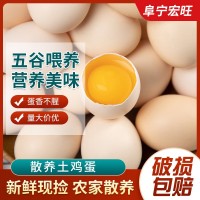 新鮮土雞蛋農(nóng)家散養(yǎng)谷物正宗草雞蛋柴雞蛋